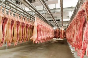 productos-carnicos-web-20